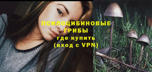 гидропоника Медногорск
