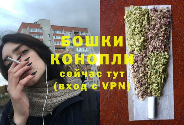 гидропоника Медногорск